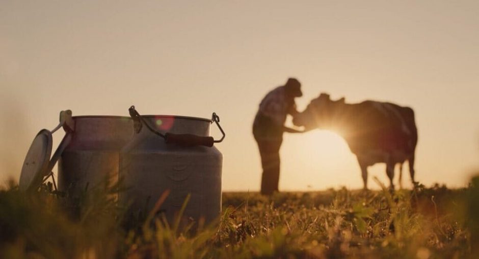 Greve agriculteur Toulouse
